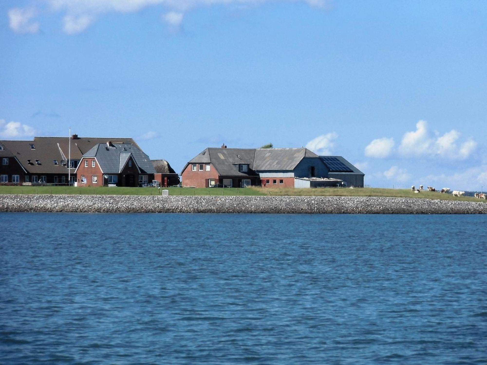 Dagebüll Haus Halligblick, Ferienwohnungen Am Wattenmeer, Whg Hamburger Hallig מראה חיצוני תמונה